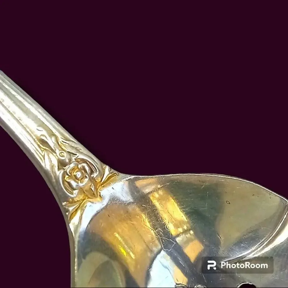 WM Rogers Grand Elegance Large Sugar Sifter-Silverplate-Scalloped Bowl-Floral-MC